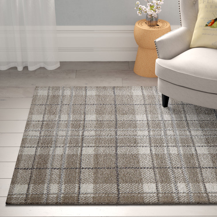 Foundstone Amara Handwoven Beige/Gray Rug & Reviews Wayfair.co.uk